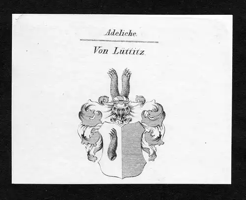 Von Lüttitz - Lüttitz Luettitz Luttitz Wappen Adel coat of arms Kupferstich  heraldry Heraldik