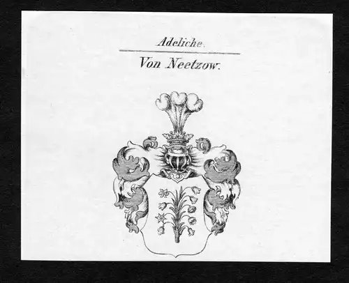 Von Neetzow - Neetzow Wappen Adel coat of arms Kupferstich  heraldry Heraldik