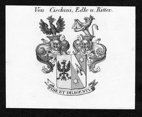 Von Cischini, Edle u. Ritter - Cischini Wappen Adel coat of arms Kupferstich  heraldry Heraldik