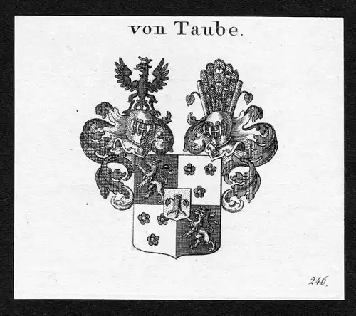 Von Taube - Taube Wappen Adel coat of arms Kupferstich  heraldry Heraldik