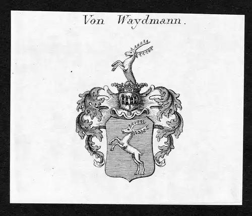 Von Waydmann - Waydmann Wappen Adel coat of arms Kupferstich  heraldry Heraldik