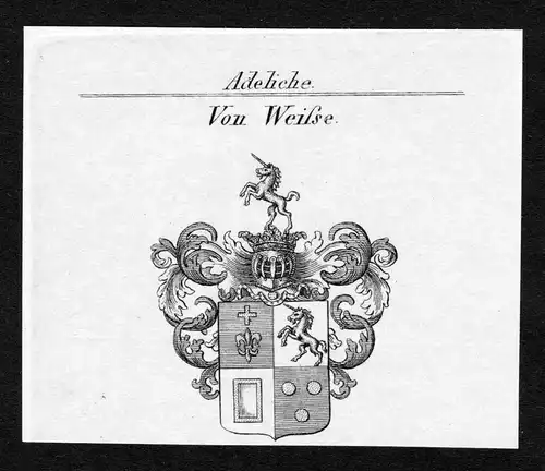 Von Weisse - Weisse Weiße Wappen Adel coat of arms Kupferstich  heraldry Heraldik