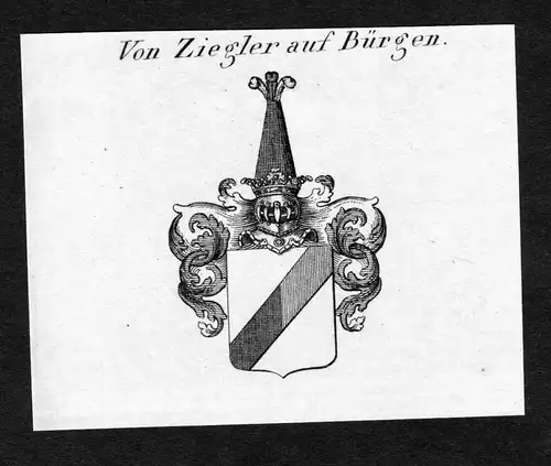 Von Ziegler auf Bürgen - Ziegler Bürgen Buergen Wappen Adel coat of arms Kupferstich antique print heraldry He