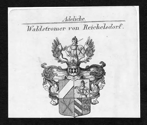 Waldstromer von Reichelsdorf - Waldstromer von Reichelsdorf Wappen Adel coat of arms Kupferstich  heraldry Her