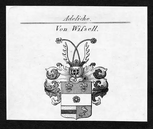 Von Wissell - Wissell Wappen Adel coat of arms Kupferstich  heraldry Heraldik