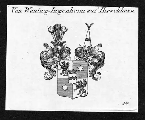 Von Wening-Ingenheim auf Hirschhorn - Wening-Ingenheim auf Hirschhorn Wappen Adel coat of arms Kupferstich  he