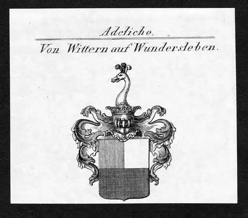 Von Wittern auf Wundersleben - Wittern auf Wundersleben Wappen Adel coat of arms Kupferstich  heraldry Heraldi