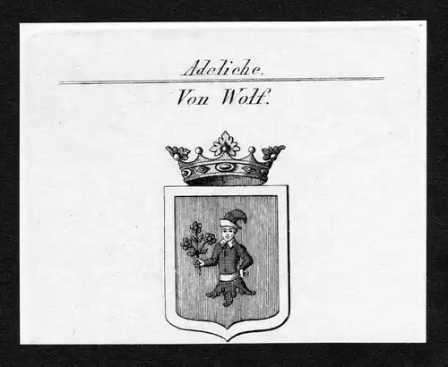 Von Wolf - Wolf Wappen Adel coat of arms Kupferstich  heraldry Heraldik