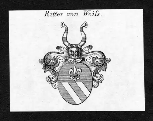 Ritter von Weiss - Weiss Wappen Adel coat of arms Kupferstich  heraldry Heraldik