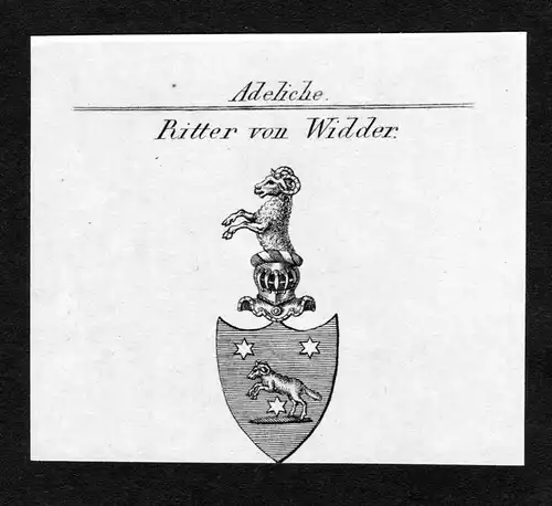 Ritter von Widder - Widder Wappen Adel coat of arms Kupferstich  heraldry Heraldik