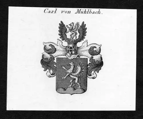 Carl von Mühlbach - Carl von Mühlbach Muehlbach Wappen Adel coat of arms Kupferstich  heraldry Heraldik