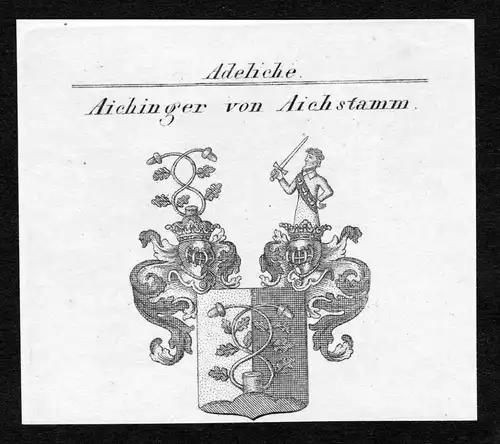 Aichinger von Aichstamm - Aichinger von Aichstamm Wappen Adel coat of arms Kupferstich  heraldry Heraldik
