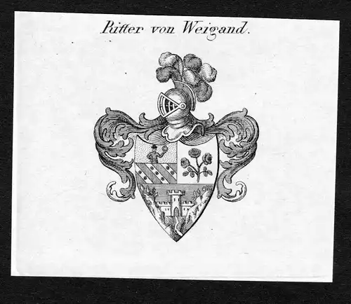Ritter von Weigand - Weigand Wappen Adel coat of arms Kupferstich  heraldry Heraldik
