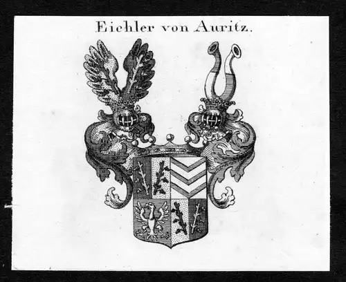 Eichler von Auritz - Eichler von Auritz Wappen Adel coat of arms Kupferstich  heraldry Heraldik