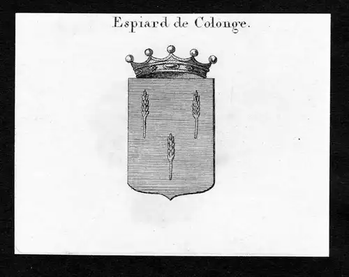 Espiard de Colonge - Espiard de Cologne Wappen Adel coat of arms Kupferstich  heraldry Heraldik