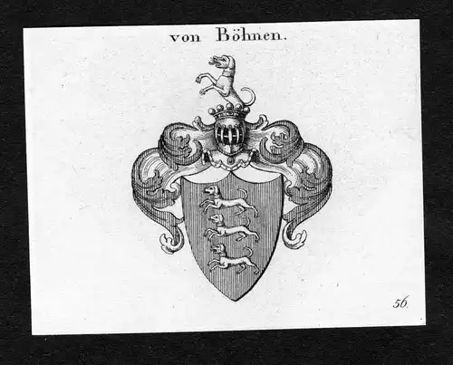 Von Böhnen - Boehn Böhnen Boehnen Böhn Behn Wappen Adel coat of arms Kupferstich  heraldry Heraldik