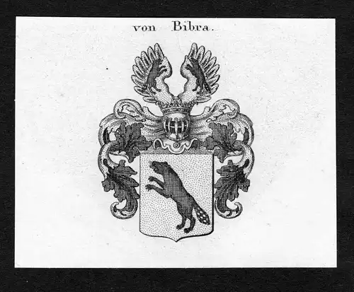 Von Bibra - Bibra Wappen Adel coat of arms Kupferstich  heraldry Heraldik
