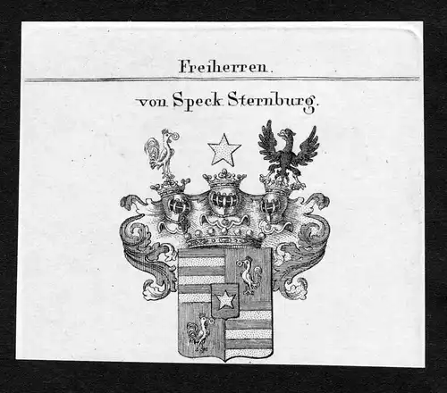 Von Speck Sternburg - Speck von Sternburg Wappen Adel coat of arms Kupferstich  heraldry Heraldik