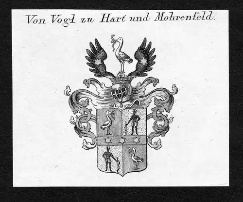 Von Vogl zu Hart und Mohrenfeld - Vogl zu Hart und Mohrenfeld Wappen Adel coat of arms Kupferstich  heraldry H