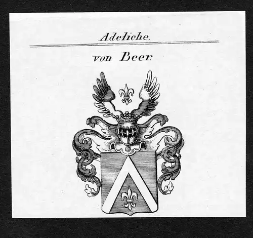 Von Beer - Beer Wappen Adel coat of arms Kupferstich  heraldry Heraldik