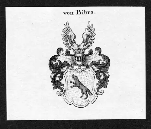 Von Bibra - Bibra Wappen Adel coat of arms Kupferstich antique print heraldry Heraldik