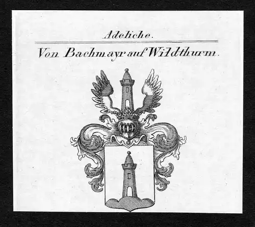 Von Bachmayr auf Wildthurm - Bachmayr auf Wildthurm Wappen Adel coat of arms Kupferstich  heraldry Heraldik