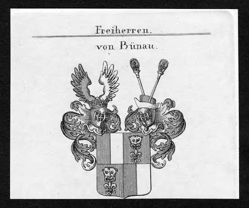 Von Bünau - Bünau Buenau Wappen Adel coat of arms Kupferstich  heraldry Heraldik