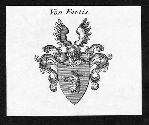 Von Fortis - Fortis Wappen Adel coat of arms Kupferstich antique print heraldry Heraldik