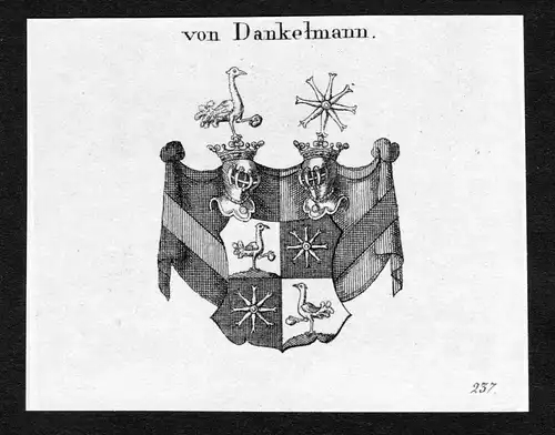 Von Dankelmann - Danckelmann Danckelman Dankelmann Wappen Adel coat of arms Kupferstich  heraldry Heraldik