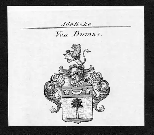 Von Dumas - Dumas Wappen Adel coat of arms Kupferstich  heraldry Heraldik