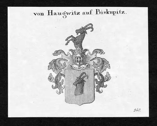 Von Haugwitz auf Biskupitz - Haugwitz Biskupitz Wappen Adel coat of arms Kupferstich  heraldry Heraldik