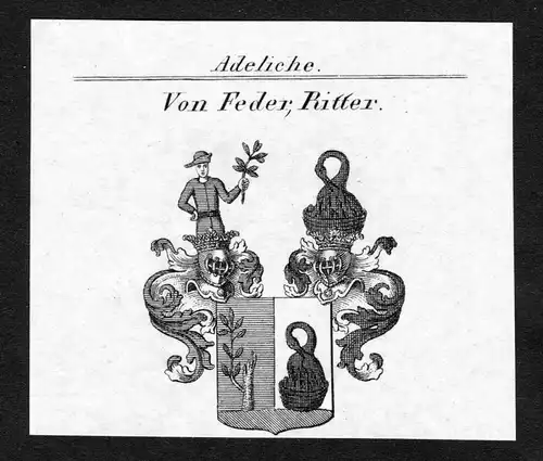 Von Feder, Ritter - Feder Wappen Adel coat of arms Kupferstich  heraldry Heraldik