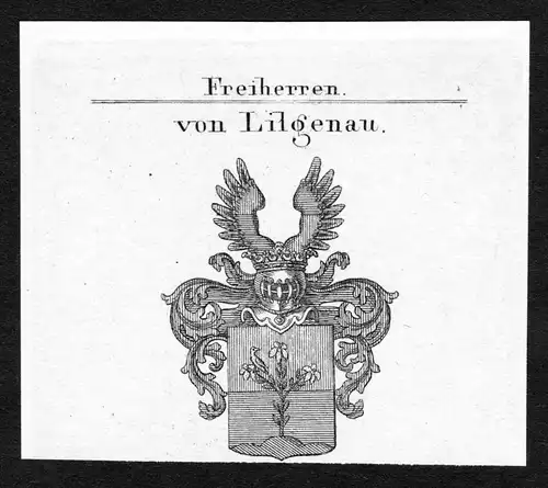Von Lilgenau - Lilgenau Wappen Adel coat of arms Kupferstich  heraldry Heraldik