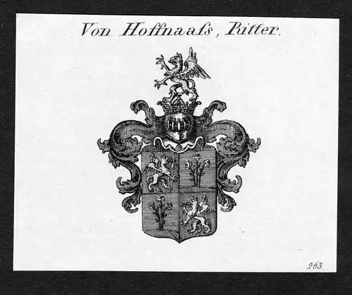 Von Hoffnaass, Ritter - Hoffnaaß Hoffnaass Wappen Adel coat of arms Kupferstich  heraldry Heraldik