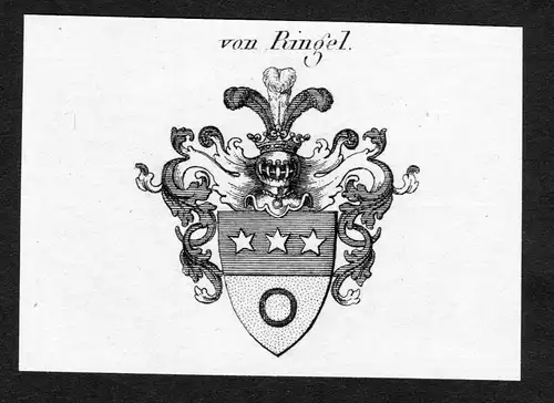 Von Ringel - Ringel Wappen Adel coat of arms Kupferstich  heraldry Heraldik