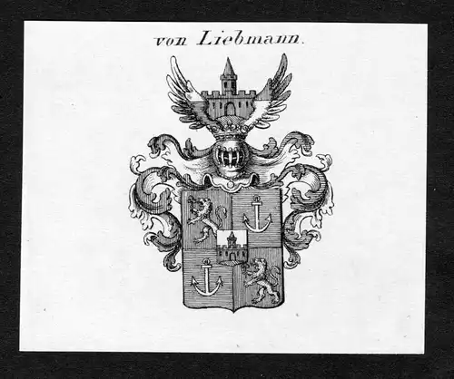 Von Liebmann - Liebmann Wappen Adel coat of arms Kupferstich  heraldry Heraldik