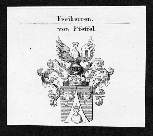 Von Pfeffel - Pfeffel Wappen Adel coat of arms Kupferstich  heraldry Heraldik
