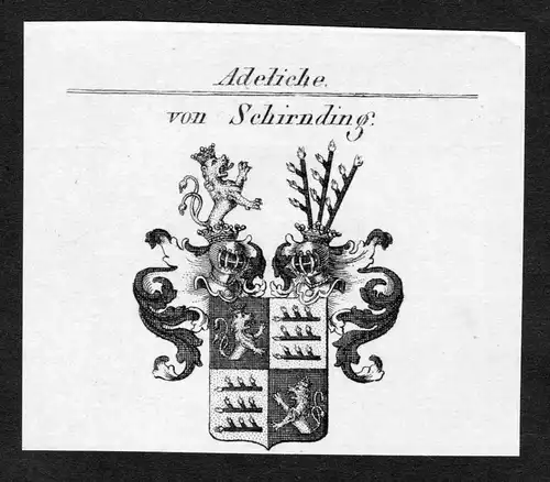 Von Schirnding - Schirnding Schirndinger von Schirnding Wappen Adel coat of arms Kupferstich  heraldry Heraldi