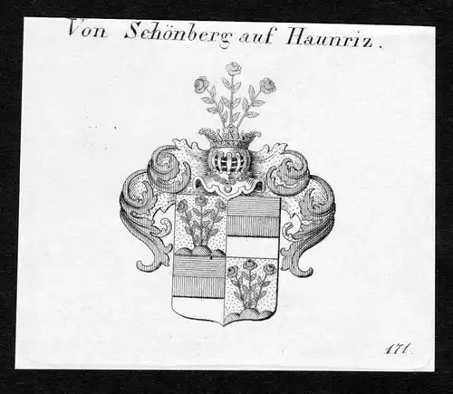 Von Schönberg auf Haunriz - Schönberg Schoenberg Haunritz Wappen Adel coat of arms Kupferstich  heraldry Her