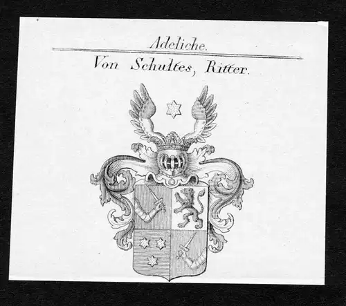Von Schultes, Ritter - Schultes Wappen Adel coat of arms Kupferstich  heraldry Heraldik