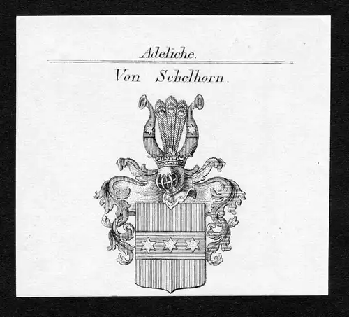 Von Schelhorn - Schelhorn Wappen Adel coat of arms Kupferstich  heraldry Heraldik