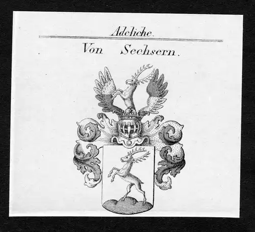 Von Sechsern - Sechsern Wappen Adel coat of arms Kupferstich  heraldry Heraldik