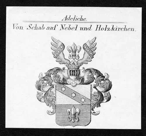 Von Schab auf Nebel und Holzkirchen - Schab auf Nebel und Holzkirchen Wappen Adel coat of arms Kupferstich  he