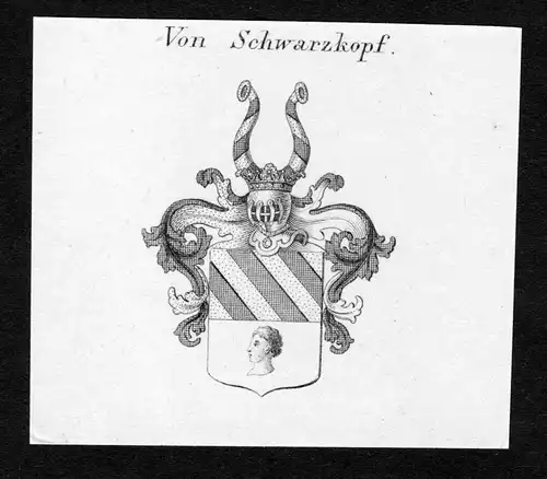 Von Schwarzkopf - Schwarzkopf Wappen Adel coat of arms Kupferstich  heraldry Heraldik