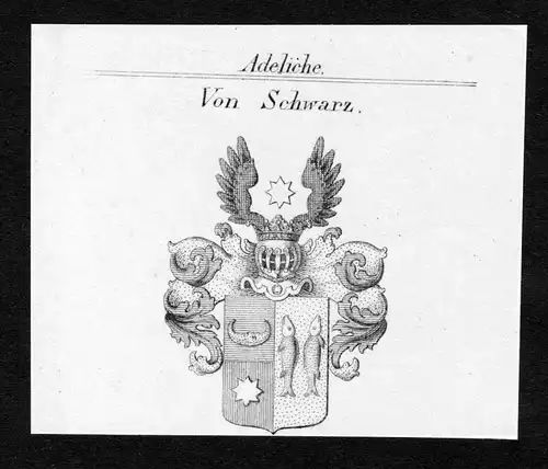 Von Schwarz - Schwarz Wappen Adel coat of arms Kupferstich  heraldry Heraldik