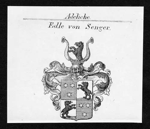 Edle von Senger - Senger Wappen Adel coat of arms Kupferstich  heraldry Heraldik