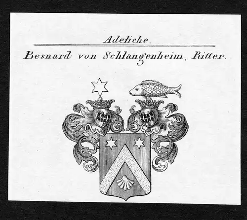 Besnard von Schlangenheim, Ritter - Besnard Schlangenheim Wappen Adel coat of arms Kupferstich  heraldry Heral
