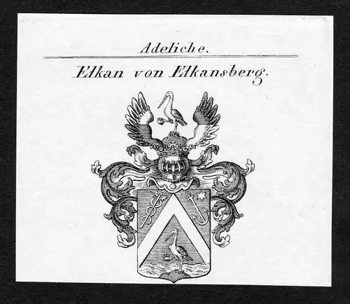 Elkan von Elkansberg - Elkan von Elkansberg Wappen Adel coat of arms Kupferstich  heraldry Heraldik