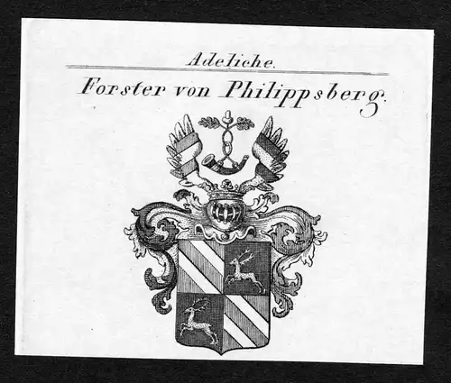 Forster von Philippsberg - Forster von Philippsberg Wappen Adel coat of arms Kupferstich  heraldry Heraldik
