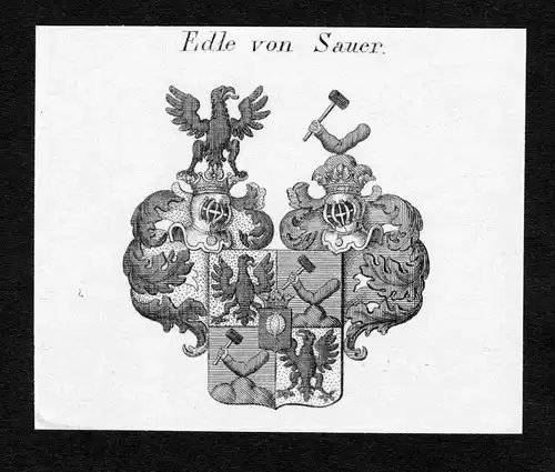Edle von Sauer - Sauer Wappen Adel coat of arms Kupferstich  heraldry Heraldik